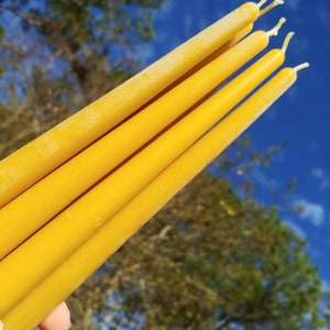 Bienenwachskerzen Premium Bienenwachs-Taper ~ 10-Zoll-reine Bienenwachskerzen ~ Biologisch nachhaltige, handgegossene Kerzen ~ Natürlicher Honigduft