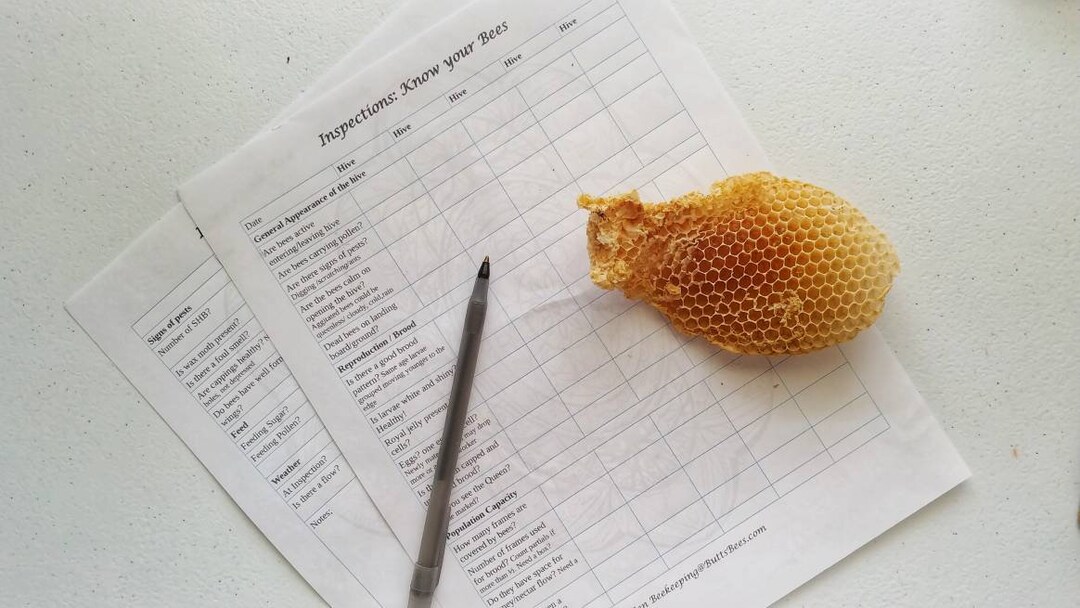 Beekeeper's Hive Inspection Checklist: Beginner Beekeeper Notes (PDF ...