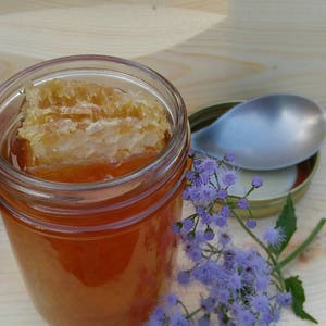 Honeycomb ~ Raw Organic Comb Honey ~  All Natural  Raw Honeycomb  ~ Nature&#39;s Candy ~ Mississippi Made Honey Old Fashioned Honey
