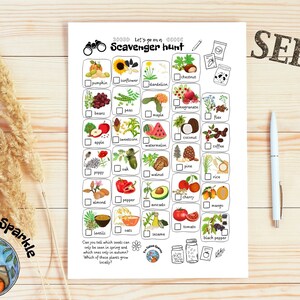Könnte beinhalten: Eine druckbare Schnitzeljagd-Checkliste mit Illustrationen verschiedener Samen und Früchte. Die Checkliste enthält Elemente wie Kürbis, Sonnenblume, Löwenzahn, Kastanie, Bohnen, Erbsen, Ahorn, Granatapfel, Leinsamen, Apfel, Mais, Wassermelone, Kokosnuss, Kaffee, Mohn, Eiche, Walnuss, Kiefer, Reis, Mandel, Pfeffer, Avocado, Kirsche, Mango, Linsen, Hafer, Sesam, Tomate und schwarzer Pfeffer. Der Titel der Checkliste lautet "Let's go on a Scavenger Hunt" und das Wort "SEEDS" steht in großen Buchstaben in der oberen rechten Ecke der Seite.