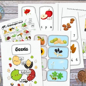 SEEDS Printable, Nature Study, Study Unit, Activity Pack, Homeschool, Montessori, Teaching Resources, Preschool, For Kids, Home Education