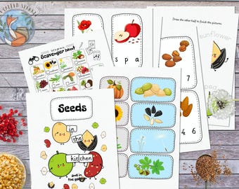 SEEDS Printable, Nature Study, Study Unit, Activity Pack, Homeschool, Montessori, Teaching Resources, Preschool, For Kids, Home Education