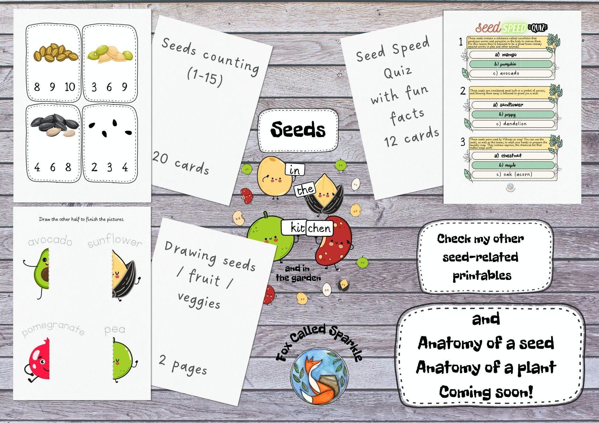 SEEDS Printable, Nature Study, Study Unit, Activity Pack, Homeschool ...