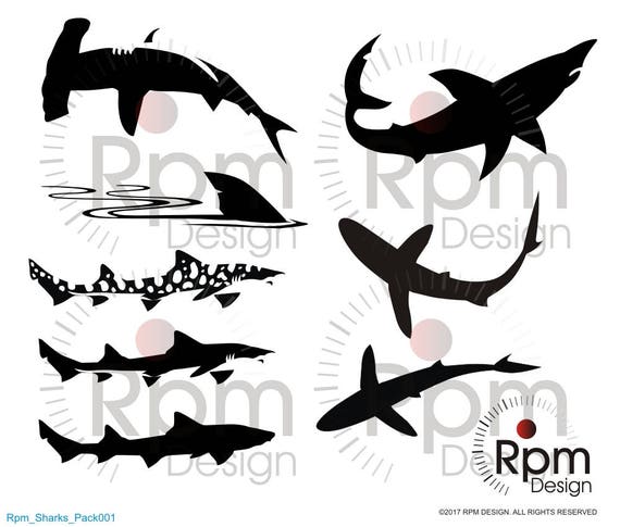 Sharks Svg File Shark Hammer Head Tiger Shark Jaws Fish Etsy