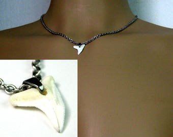 Necklace man steel stainless N3556 shark tooth