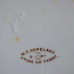 Może przedstawiać: Zbliżenie białej ceramicznej powierzchni z wytłoczonym kwiatowym znakiem. Tekst "W.T. Copeland & Sons Stoke on Trent" jest wydrukowany brązowym tuszem, wskazując producenta i lokalizację.