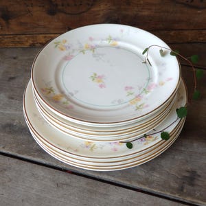 Clementine Plates - Etsy