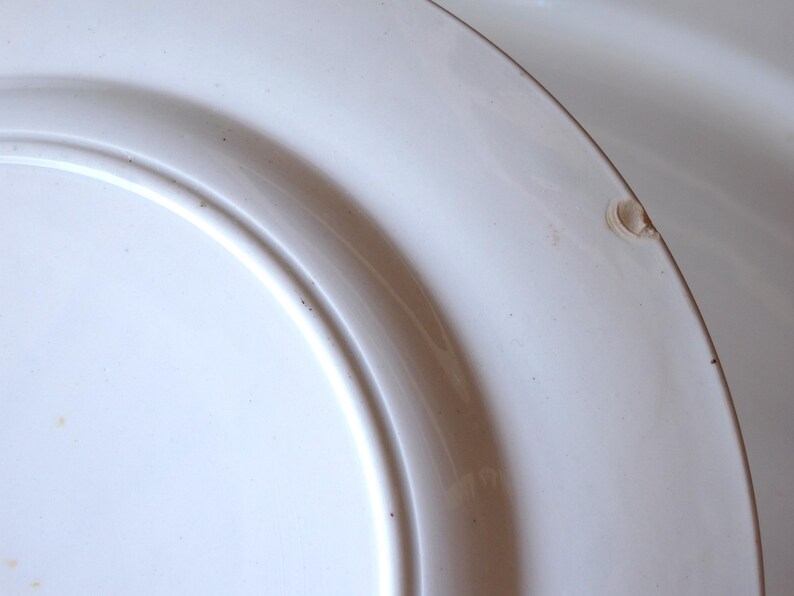 Może przedstawiać: Zbliżenie białego ceramicznego talerza z lekko podniesionym brzegiem. Talerz ma gładką, błyszczącą powierzchnię z kilkoma małymi niedoskonałościami. Krawędź talerza wykazuje mały odprysk.
