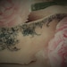 Heather