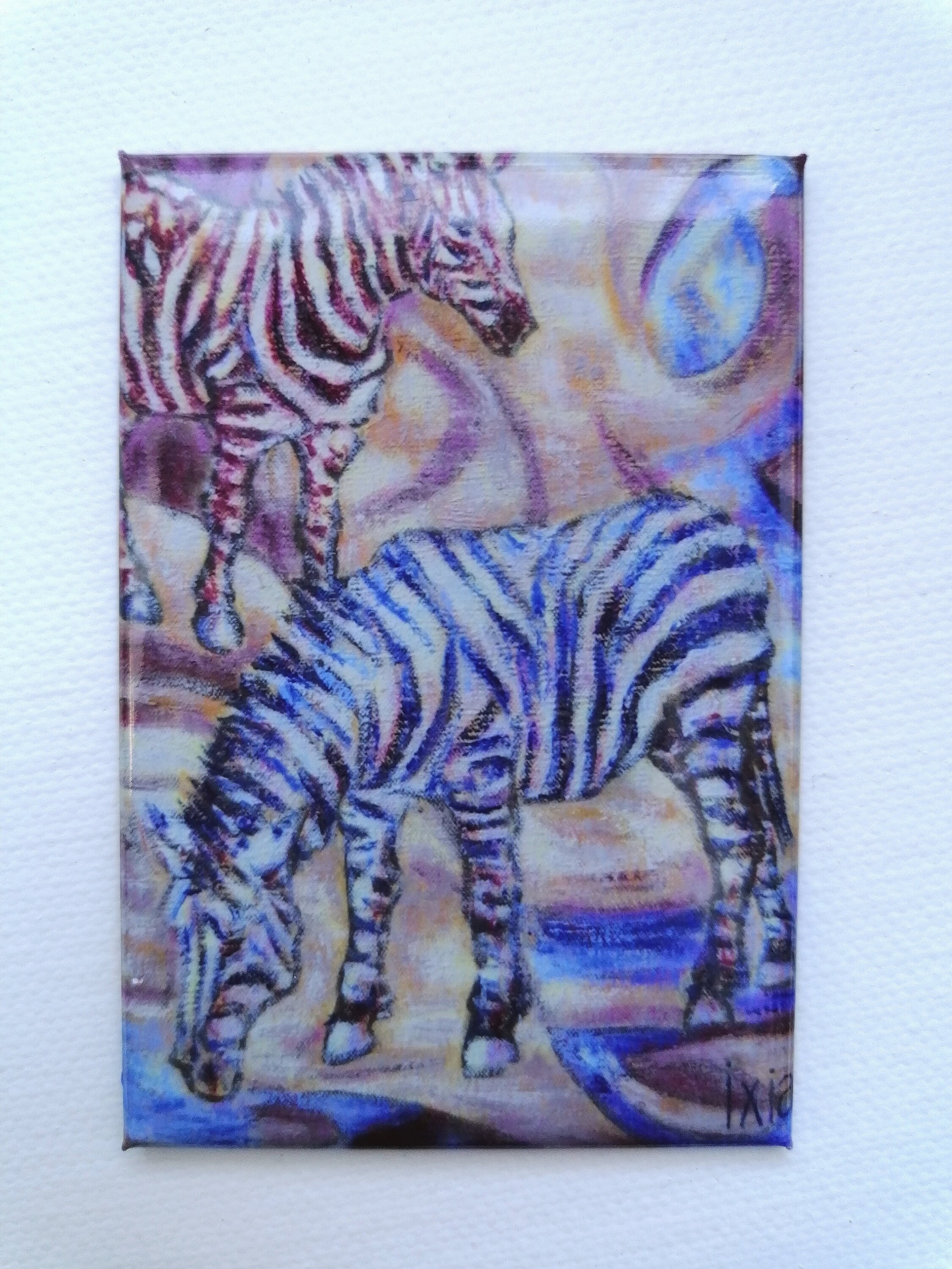 Magnet Luxe Illustré Zèbres