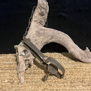 Vintage Steel Animal Trap