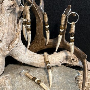 Deer Antler Tip Keychain