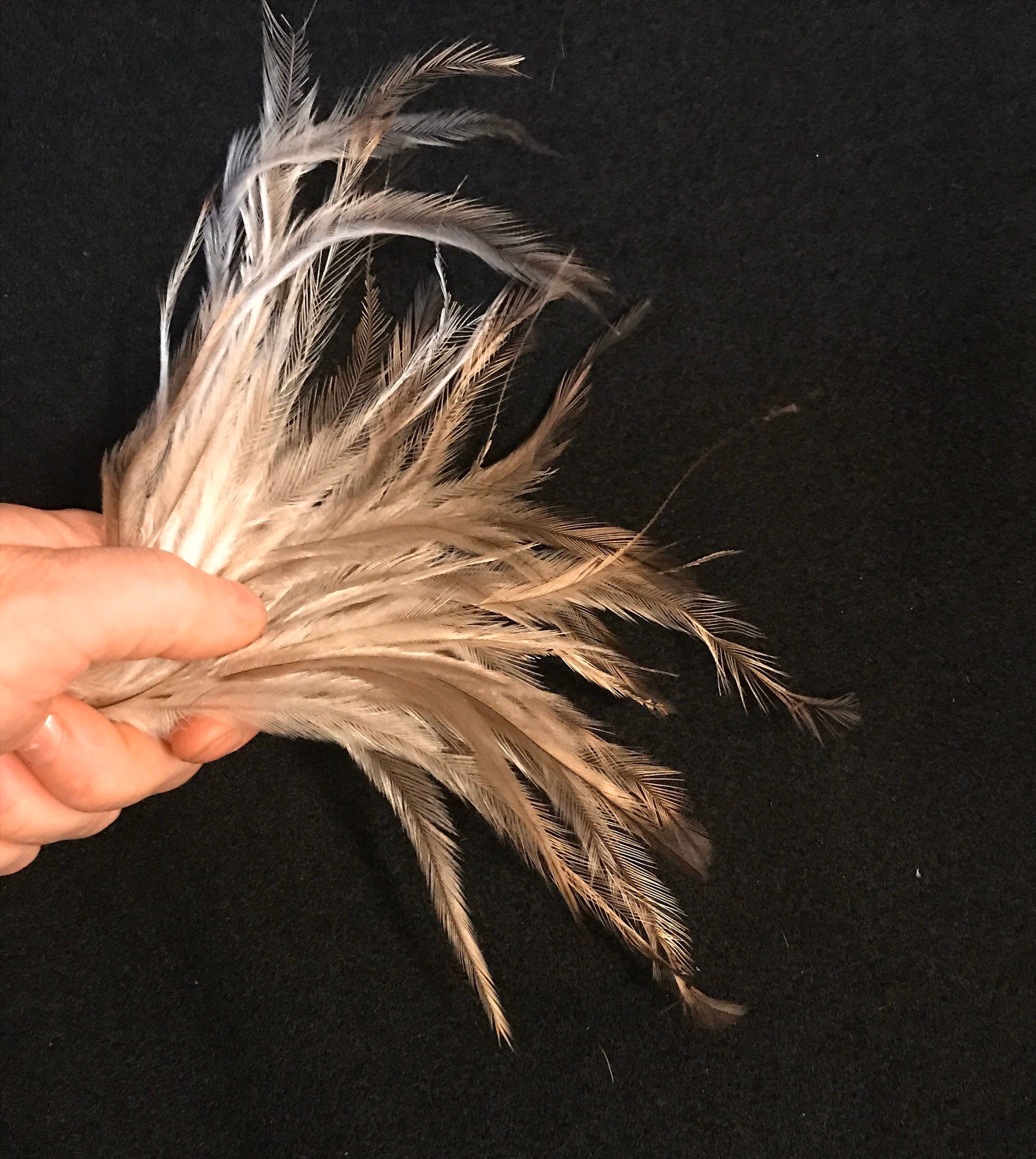 Emu Feathers-8 to 9 Inches Long 24 Pack - Etsy