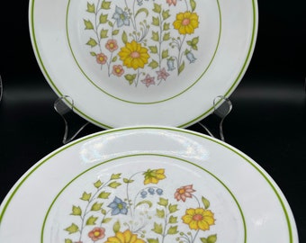Vintage Corelle Meadow Salad Plates - Set of 2 Floral Plates