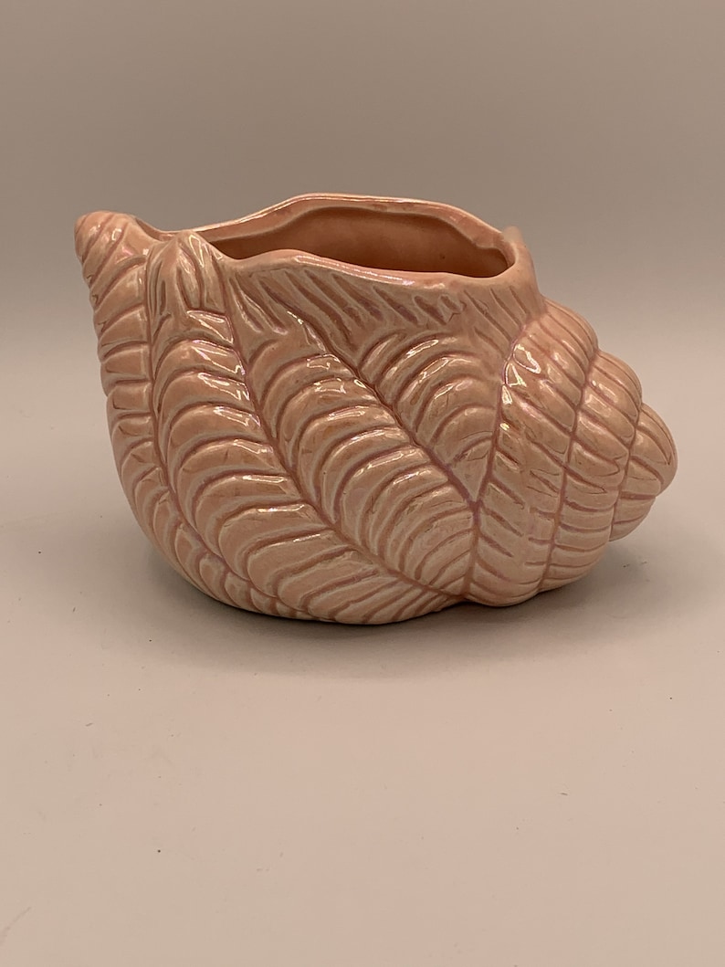 Pretty Pink Shell Vase / Planter - so Pretty! Bring the Sea Home - Etsy