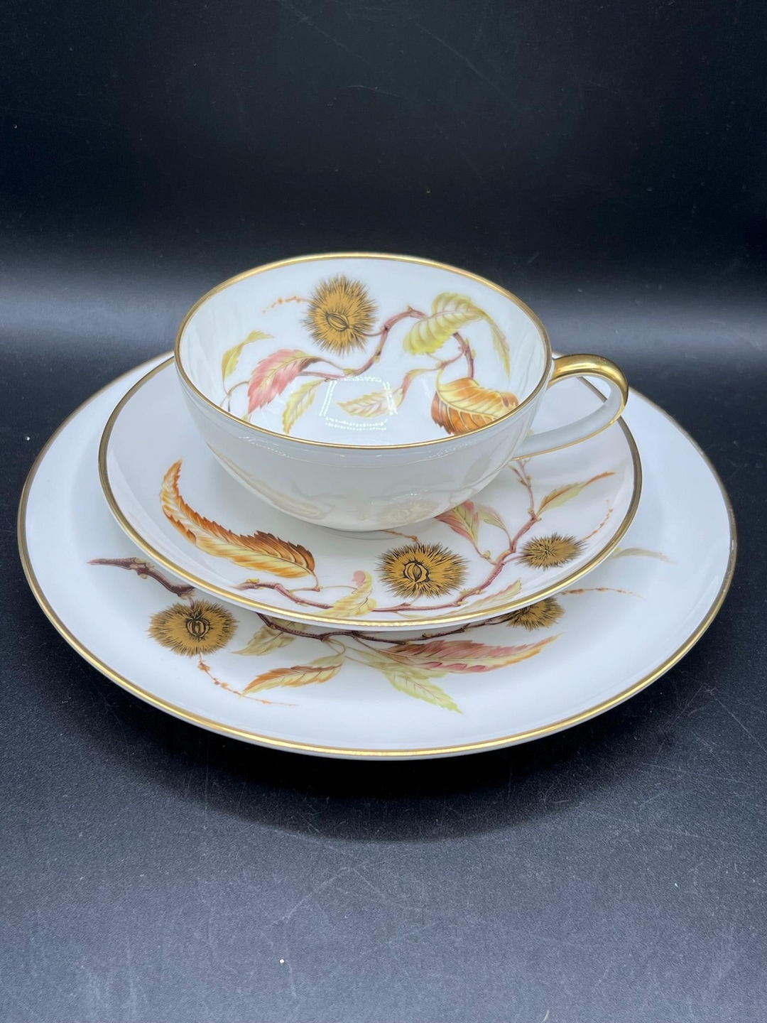 Vintage Heinrich & Co Selb Bavaria Golden Chestnut Flat Teacup