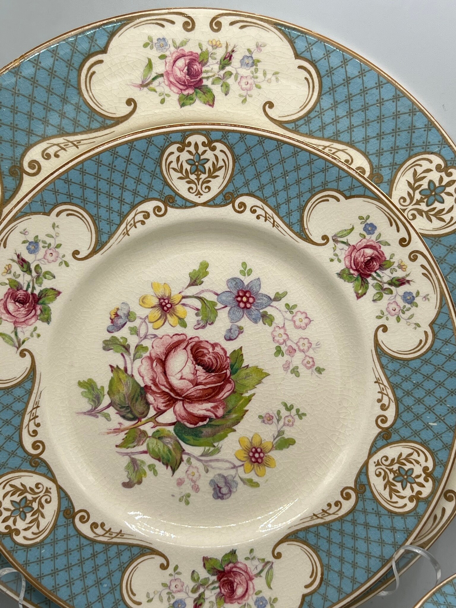 Myott Staffordshire Rose Blue China: Antique Floral Dinnerware - Etsy