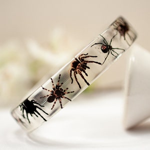 May include: Clear plastic bracelet with four different types of spiders embedded inside. The spiders are black, brown, and gray.