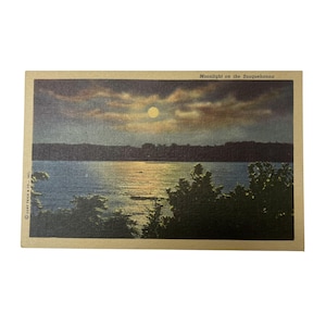 Cartolina d'epoca "Chiaro di luna sul fiume Susquehanna" anni '30 e '40, lino, inutilizzata, Pennsylvania, vista panoramica notturna, da collezione