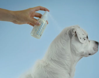 Dry Shampoo Mists For Dogs and Cats, No Rinse Pet Shampoo Spray, Dry Shampoo for Dogs, Dry Shampoo for Cats