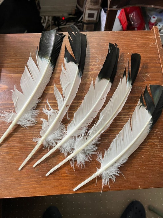 5 Plumas de Águila Artificial Nativa Americana Pow-Wow - Etsy España