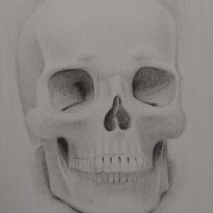skull pencil drawing perfect smile A4