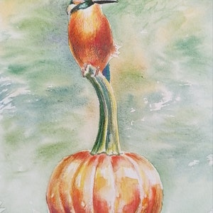 Kingfisher in watercolour