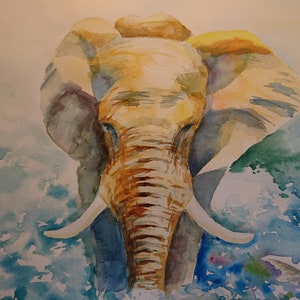 Elephant with birds in the spring pool Watercolour holiday safary
