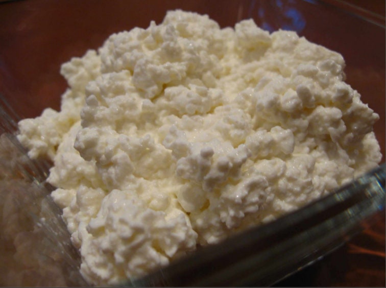 Curd Cottage Cheese Starter Culture EVERLASTING Buy Only Etsy