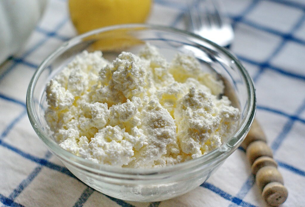 Curd Cottage Cheese Starter Culture EVERLASTING Buy Only Etsy