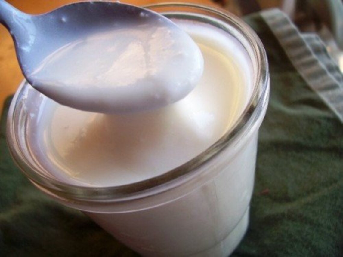 Heirloom Organic Viili Yogurt Starter.. EVERLASTING Buy Only Etsy
