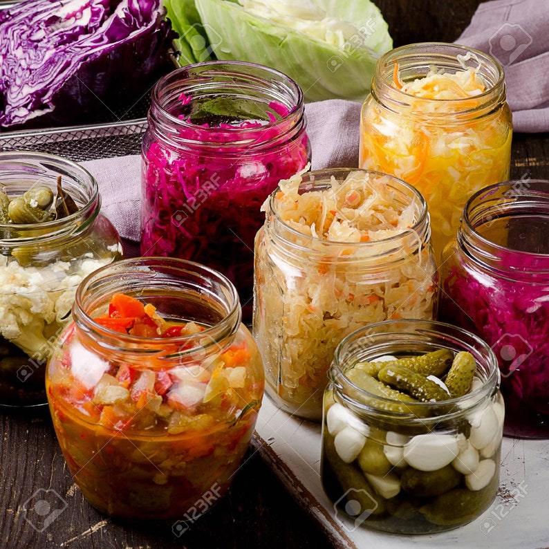 Starter Culture for Making Raw fermented Vegetable Including Etsy