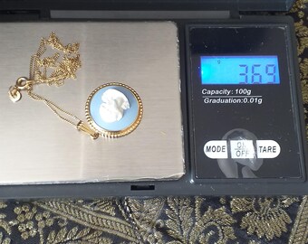 Pendentif Vintage Wedgwood 1967 Argent 925 Sur Chaîne 20 Pouces - Poinçons Complets - Excellent état