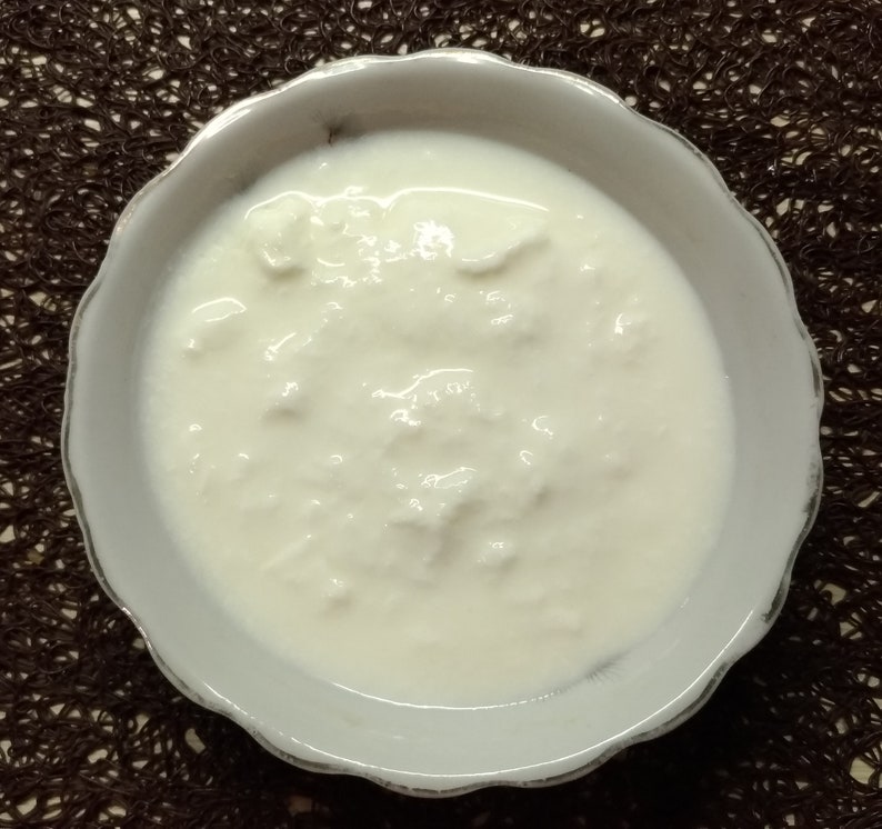 100 GENUINE VIILI Heirloom Mesophilic Yogurt Culture Starter Etsy