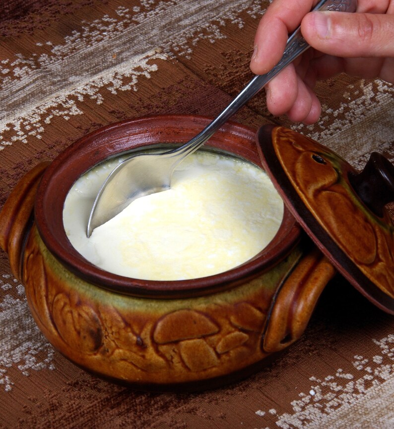 Organic Traditional Bulgarian Yogurt Starter Culture Etsy