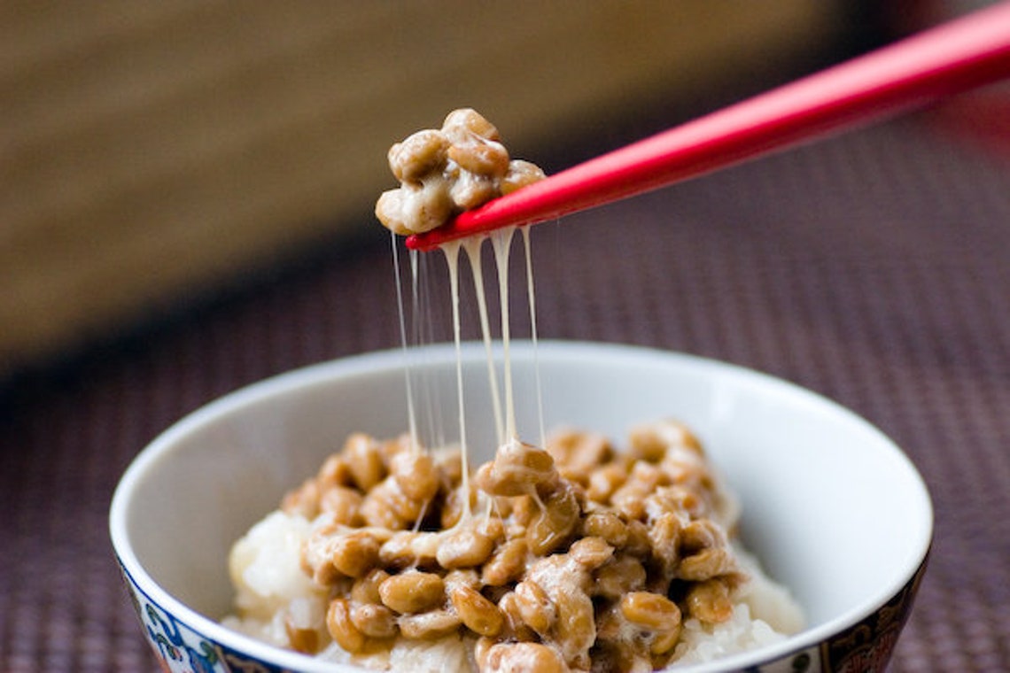 Organic Natto Starter Cultures For Health Bacillus Subtilis Etsy