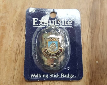 vintage 5 badge austrian walking stick cane hiking etsy