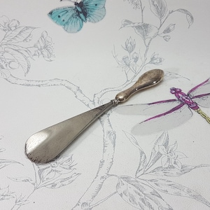 May include: A silver shoe horn with a rounded handle and a long, curved blade. The shoe horn is set against a backdrop of a floral patterned wallpaper with a dragonfly and butterfly.