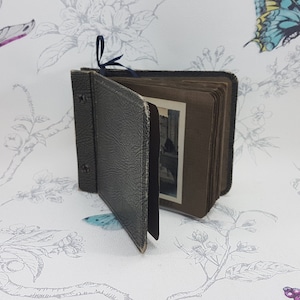 Vintage 1920s Photo Album: Isle of Wight & London Zoo Photos