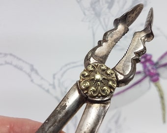 アンティークのビクトリア朝様式の銀メッキ製シュガートング：はさみ