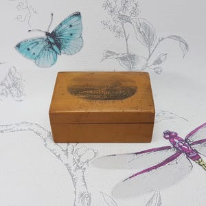 Antique Mauchline Ware Box: Victorian Hastings Pier Trinket Box