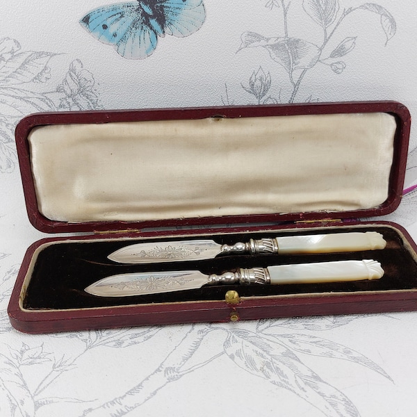 Case Mother of Pearl Knife Etsy