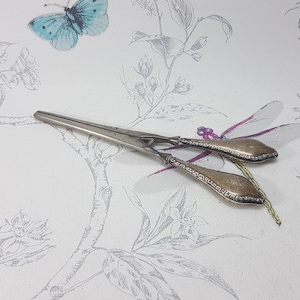 May include: Silver-toned scissors with ornate handles, resting on a floral patterned surface. The scissors have a pointed tip and a decorative design on the handles. A blue butterfly and dragonfly are also visible.