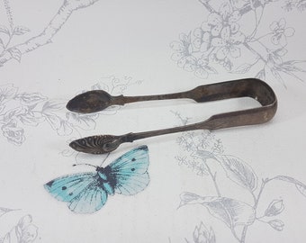 Pinzas para azúcar victorianas de plata de ley: diseño gótico ornamentado, 1841