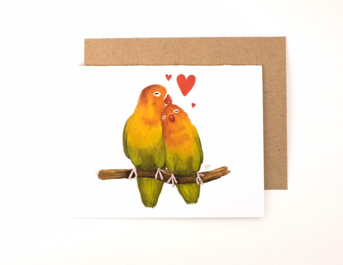 Assorted Bird Cards Bird Greeting Cards Bird Note Cards Etsy
