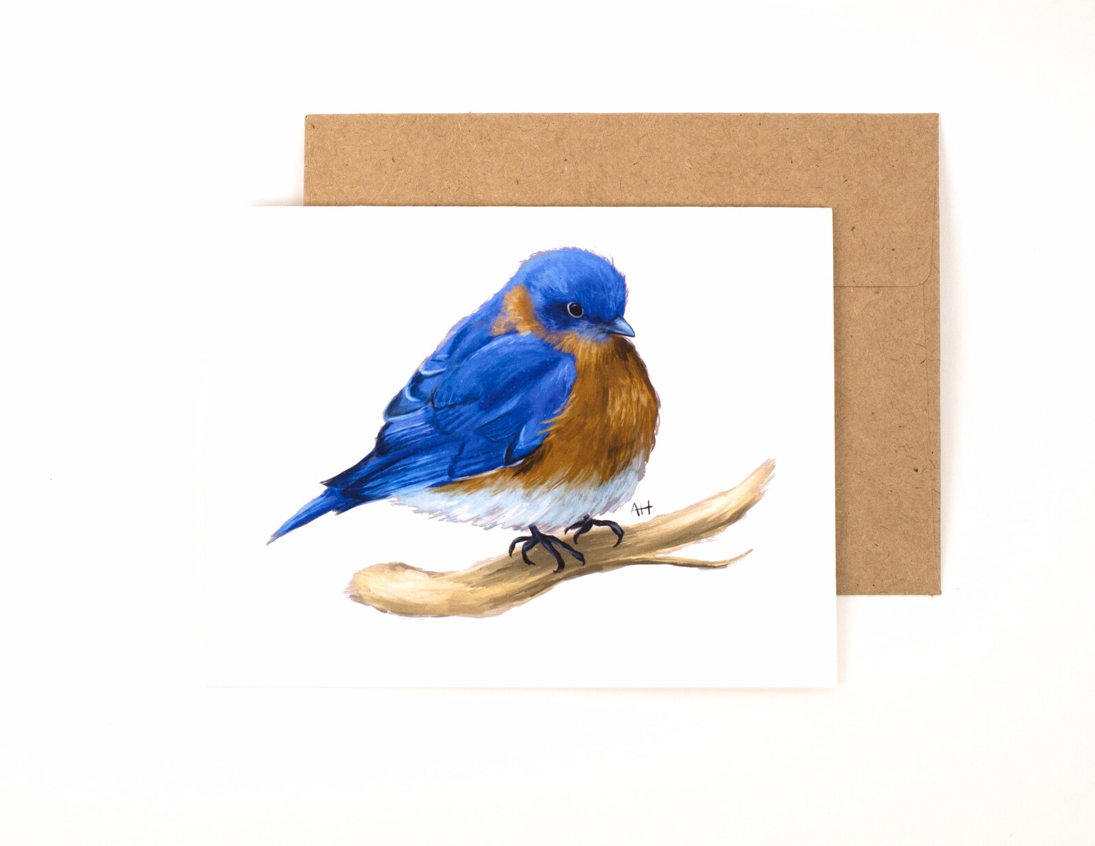Assorted Bird Cards Bird Greeting Cards Bird Note Cards Etsy