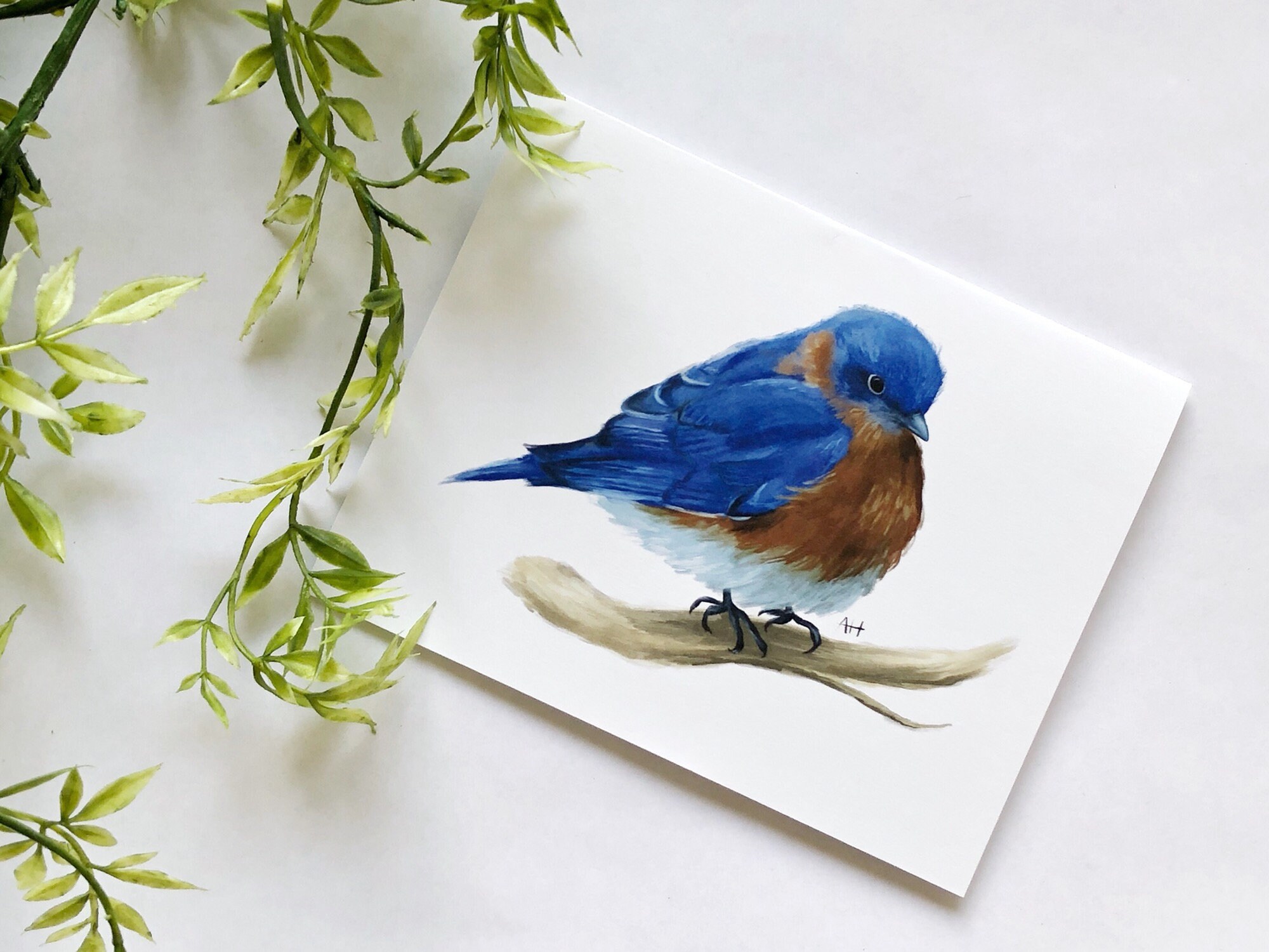Bluebird Greeting Cards Bird Greeting Cards Bluebird Note Etsy UK