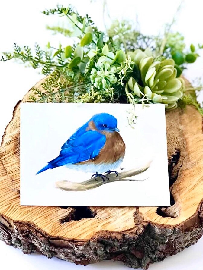 Bluebird Greeting Cards Bird Greeting Cards Bluebird Note Etsy