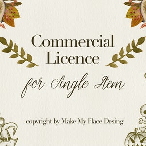 Commercial License for Single Item (Set)/&lt;5000 pcs