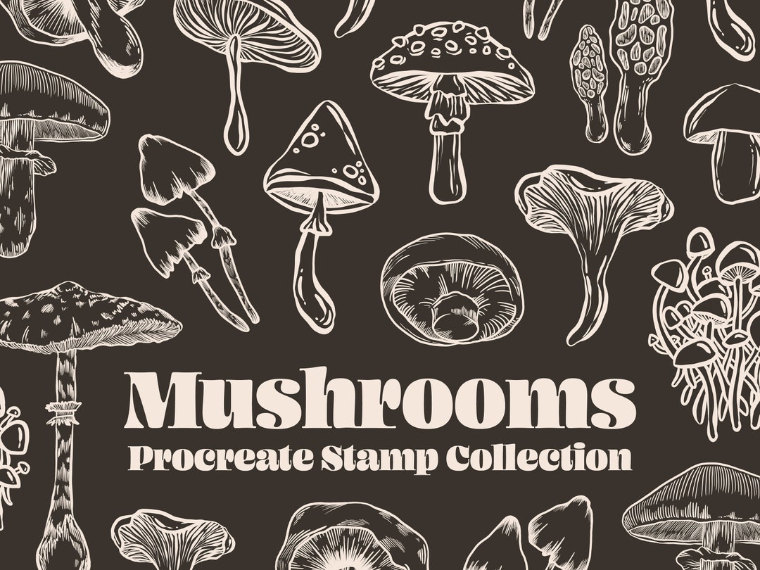 Mushrooms Autumn Brushes Procreate - Procreate Camping Stamps ...